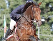 Apolloni Dama di Cuori GioCav2013 S6 7570 : Apolloni Gianluca, Campionati Italiani Giovani Cavalli, Cattolica, Dama di Cuori, ph Stefano Secchi ©